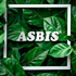 ASBIS Rises in the Climate Crisis Awareness Ranking with Notable ESG Achievements